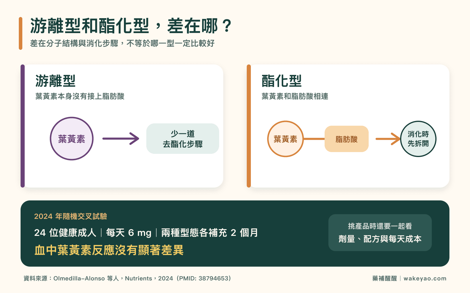 游離型與酯化型葉黃素的結構、消化步驟及人體研究結果比較