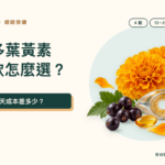 三多葉黃素 4 款比較文章封面,搭配金盞花、眼睛與黑醋栗插畫
