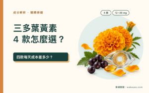 三多葉黃素 4 款比較文章封面，搭配金盞花、眼睛與黑醋栗插畫